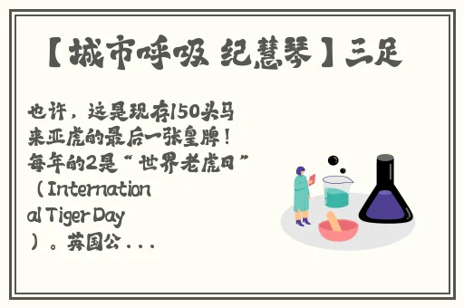 天堂岛WWW中文资源在线