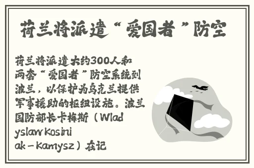 久久久久精品久久九九
